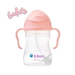 B.Box Sippy Cup 8oz (10 Colors) -Baby Product b.box sippy cup 8oz tutti fruitti
