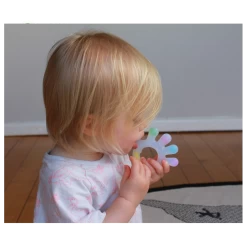 Haakaa Silicone Palm Teether -Baby Product bhk062 0002