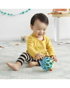 Skip Hop Explore & More Roll-Around Rattles -Baby Product hedgehog4