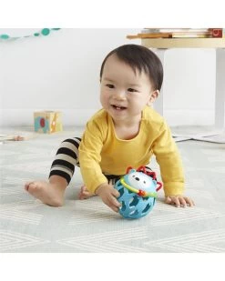 Skip Hop Explore & More Roll-Around Rattles -Baby Product hedgehog5