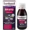 Sambucol For Kids (UK Version) 120ml [Pack Of 6] -Baby Product sambucol kids uk version 120ml 1 1 1