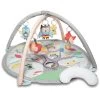 Skip Hop Treetop Friends Baby Activity Gym
